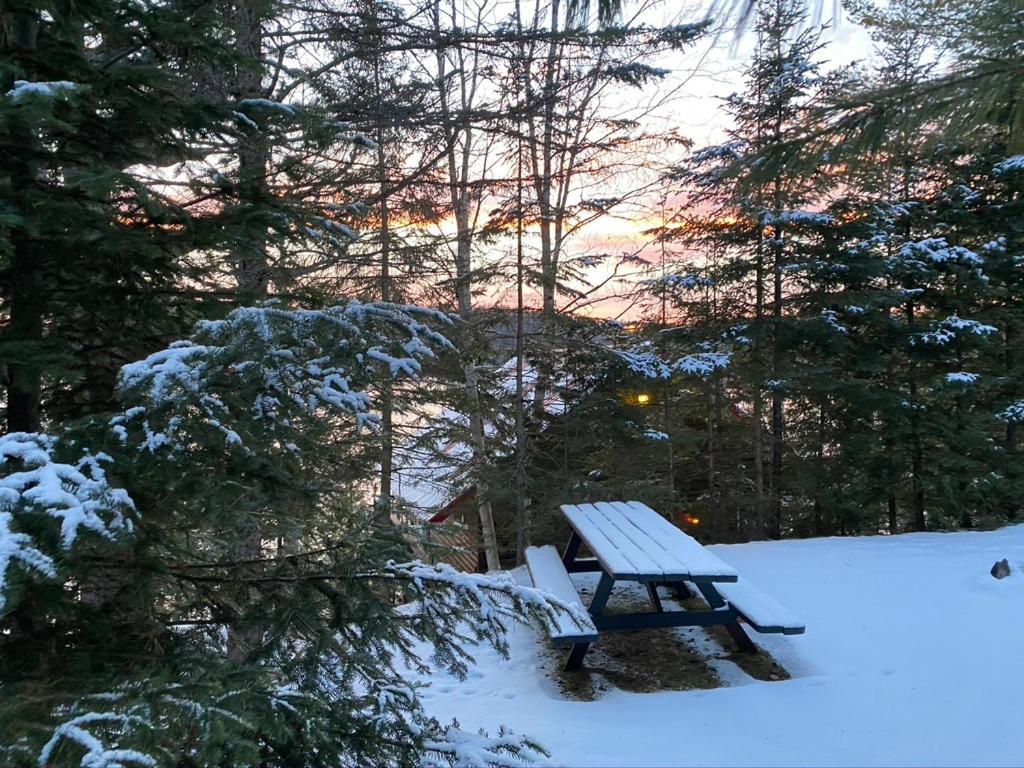 Chalet "Ici Et Maintenant, Sur Le Lac" Sainte-Marguerite-du-Lac-Masson 외부 사진